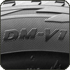 ����� � Bridgestone Blizzak DM-V1
